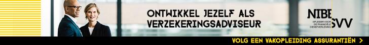 409418_NIBE-SVV_Assurantie A-mei_FLINK banner