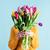 Tulpen_2127918761
